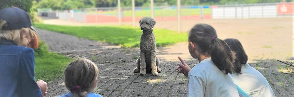Ferienaktionsprogramm Angebot Hundeschule