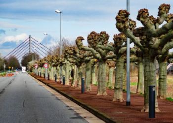 LED-Pollerleuchten in Büderich