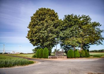 Kreuz aus Metall vor zwei großen Bäumen