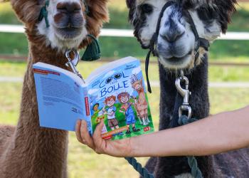 Das Foto zeigt zwei Tiere mit einem Buch.