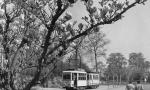 Kleinbahn auf dem neuen Bahnhofsvorplatz (1957)