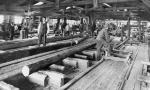 Arbeitsraum im Sägewerk