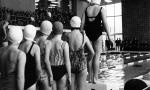 Darbietungen des Schwimmvereins bei der Eröffnung