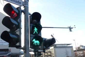 In Wesel ziert ein Esel als Motiv die Fußgänger-Ampeln an der Kreuzung Esplanade/Kreuzstraßenade