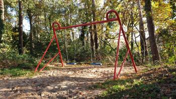 Spielplatz Teichstege (Doppelschaukel im Wald) Spielplatz Teichstege (Doppelschaukel im Wald)